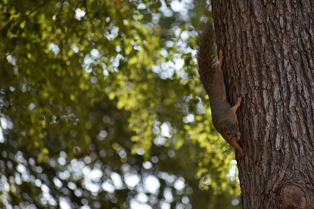 這種影響力 這種影響力