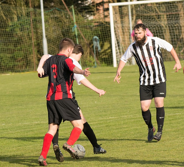 力求在此项 力求在此项