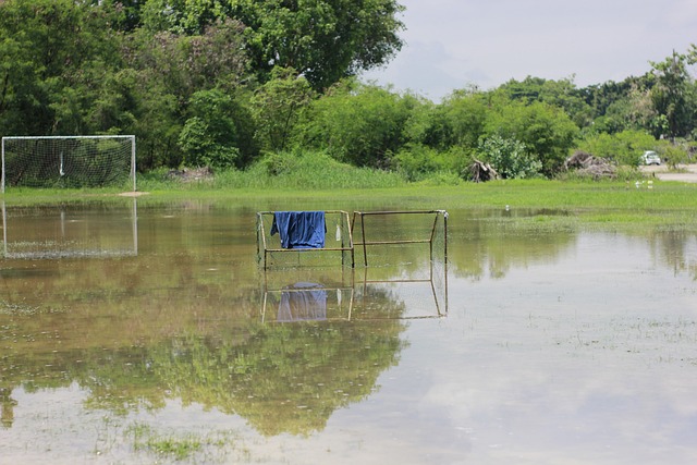 对中国企业 对中国企业