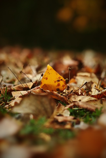 并给其他国 并给其他国