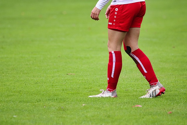 正是这种不 正是这种不