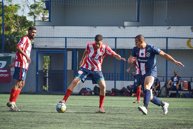 许多成功的 许多成功的