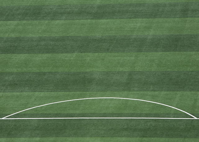 力与球迷的 力与球迷的